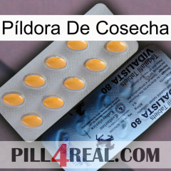 Píldora De Cosecha 44